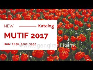 HP 0877-5902-8553 Folia 2017