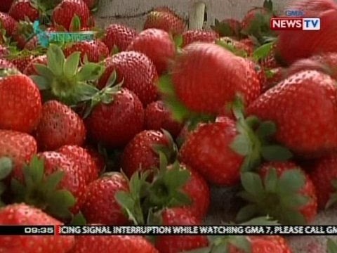 SONA: Kultura at tradisyon ng La Trinidad, Benguet, sinisikap pasiglahin