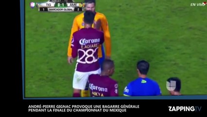 André-Pierre Gignac provoque une bagarre générale pendant la finale du championnat-GKuVRrTKsUM