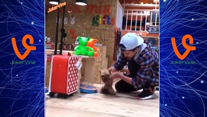 Best magic vines in the world 2016 - Best magic tricks ever