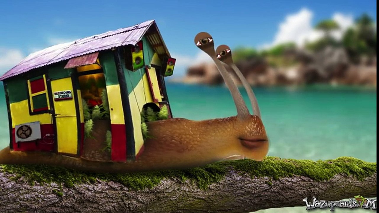 Rasta Reggae Snail wishes you a Happy Birthday