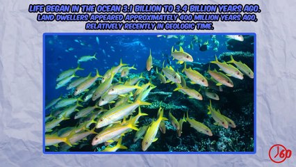 60 Seconds of Ocean FACTS-VPLfWel-XkY