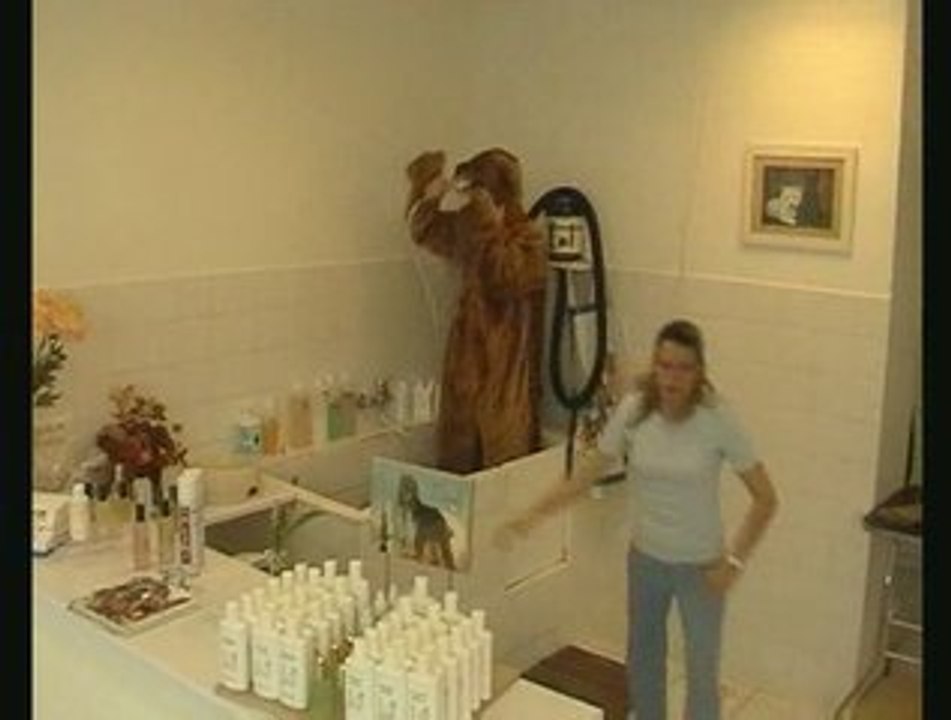 Toilettage (Rémi GAILLARD)