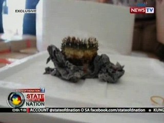 SONA: Mga isda at corals na ipupuslit sana patungong Taiwan, naharang sa NAIA
