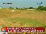 UB: 5 magsasaka, tinamaan ng heat stroke habang nasa bukid sa Ilocos Norte