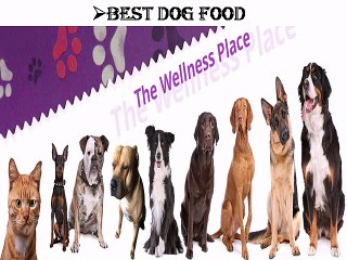 Best Dog Food - discountpetme.com