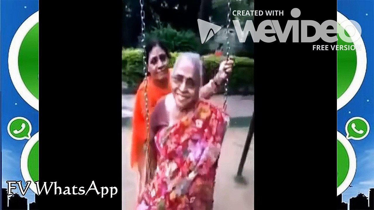 Best funny video collection