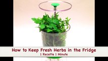 How to Keep Fresh Herbs in the Fridge (HD)-Elb-6lb4Z9I