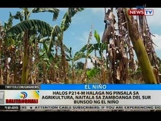 Halos P214-M halaga ng pinsala sa agrikultura, naitala sa Zamboanga del Sur bunsod ng el niño