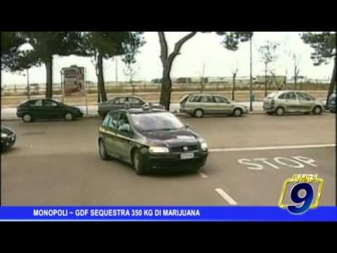 Monopoli | Gdf sequestra 350 kg di marijuana