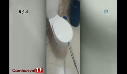 Klozetten yılan çıktı, ev sakinleri şaştı kaldı.