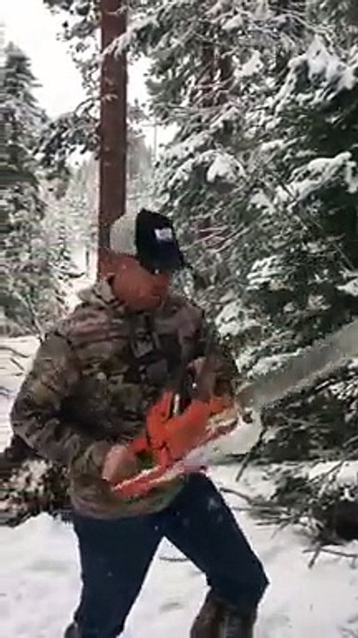 Avec un fusil Il coupe son sapin de noël