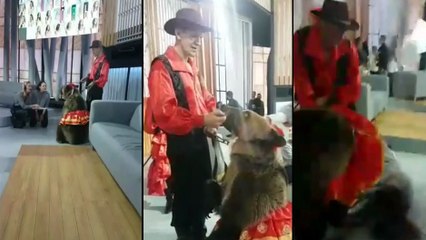 Une femme essaye de caresser un ours.. Très mauvaise idée !