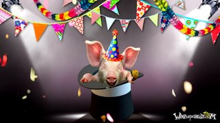 HAPPY BIRTHDAY - Magic Hat Piggy