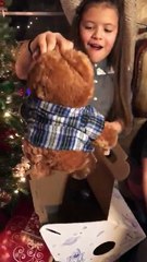 Un nounours avec la voix de son grandpere mort