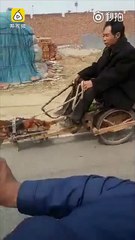 Në Kinë, jo vetëm që i hanë qentë – shihni çfarë u bëjnë atyre! (Video)