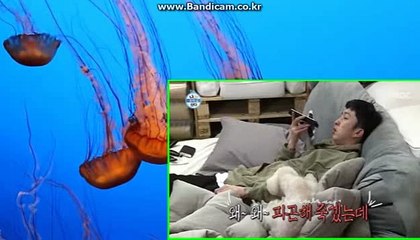 #토토솔루션제작,#사설토토사이트제작 ,#토토솔루션,#토토사이트임대제작,#토토솔루션임대제작,#스포츠토토솔루션제작,#사설토토제작,#스포츠토토사이트제작