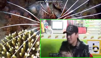 #토토사이트임대제작 #토토솔루션임대제작 #스포츠토토솔루션제작 #사설토토제작 카톡:haricuty 스카이프:cuty hary