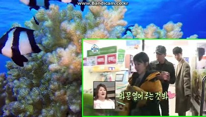 #사설토토솔루션 #사설솔루션 #사설사이트제작 #사설토토사이트 #바카라게임최초접목 카:haricuty스카이프:cuty hary