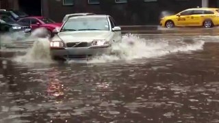 Driver gets out of the car to rescue something