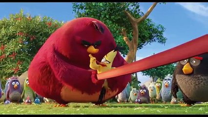 THE ANGRY BIRDS MOVIE Clip  Chuck Slingshot  (2016) Animated Comedy Movie [4K Ultra HD]
