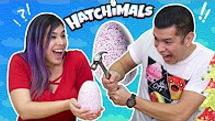 WILL IT HATCH Hatchimals Surprise Egg