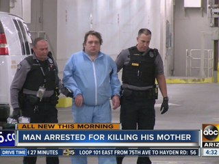 PD: Woman dies in Avondale stabbing, son taken into custody