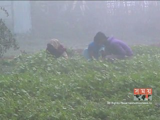 প্রচণ্ড শীতে পঞ্চগড়ে জনজীবন ব্যাহত