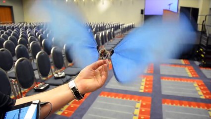 Festo's Fantastical Flying Robots
