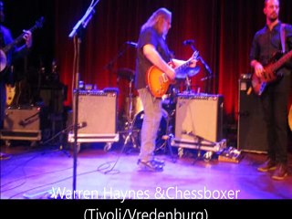 A look back at a great concert and festival year 2016, it was beautiful ....