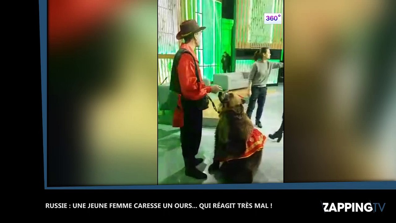 Russie : Une femme sauvagement attaquée par un ours à la télévision ! (Vidéo)