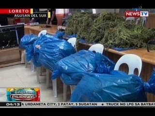 BP: Mahigit P6-M halaga ng marijuana, nasamsam ng pulisya