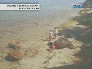Saksi: Bakas ng oil spill, nagkalat sa ilang baybayin ng Moalboal