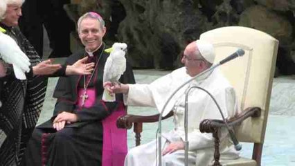 Papa pide a sus fieles que tengan esperanza porque esta "realiza lo inimaginable"