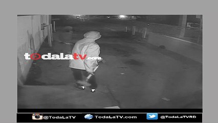 Ladrones destrozan pared de tienda para robarse extensiones de cabello-Video