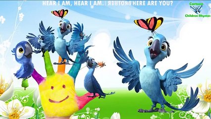 Rio Finger Family Nursery Rhymes For Kids and Babies