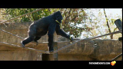 Is Genesis History? Trailer 1