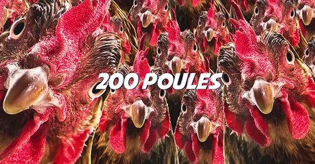 Jeu De Noël  - un de nos followers Instagram gagnera 3 000€ pour les Fêtes !-Pm7BtYYiYhs