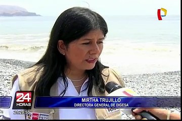 Mayoría de playas en Lima no son aptas para recibir a bañistas
