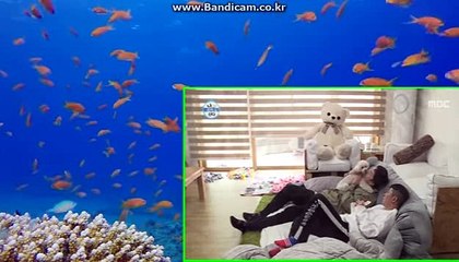 토토사이트제작【카톡haricuty 스카이프cuty hary】