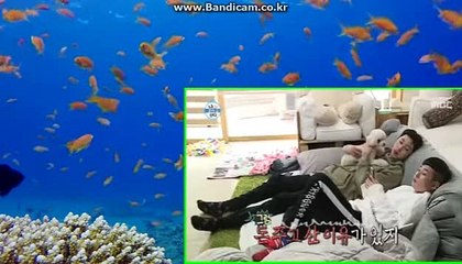 #솔루션업체【카톡haricuty 스카이프cuty hary】