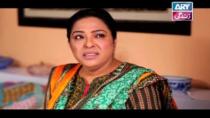 Haal-e-Dil Ep 66 - on Ary Zindagi in High Quality 28th December 2016