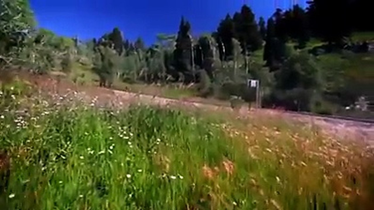 Trike Yarış
