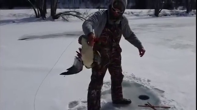 Regardez ce qu'a attrapé ce pecheur... Tout sauf un poisson