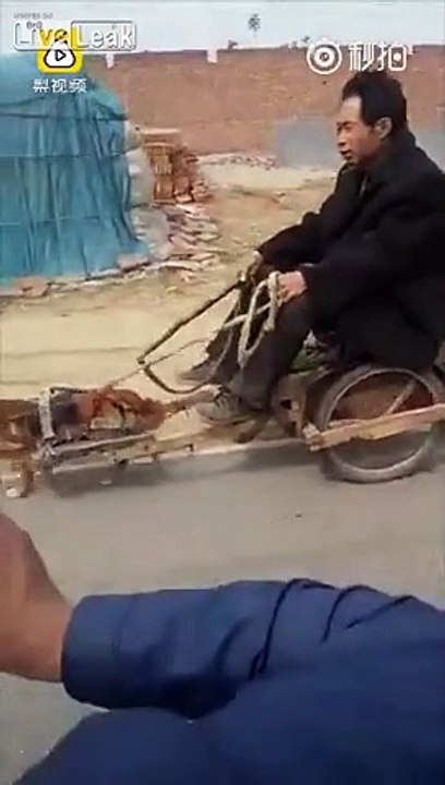 Il a remplacé son cheval par un tout petit animal... Aller tire la charette