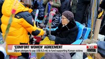 Comfort Women agreement 1 year anniversary