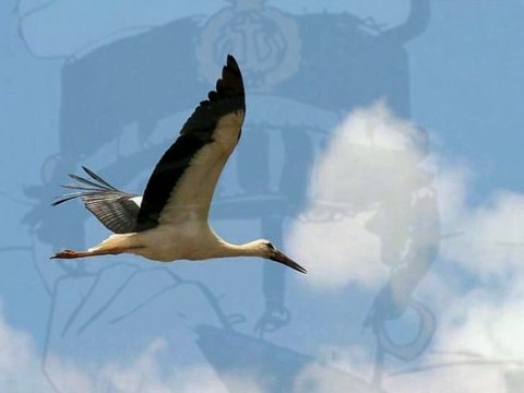 Salut Les Copains 2017.