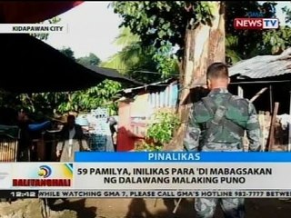 59 pamilya, inilikas para 'di mabagsakan ng dalawang malaking puno