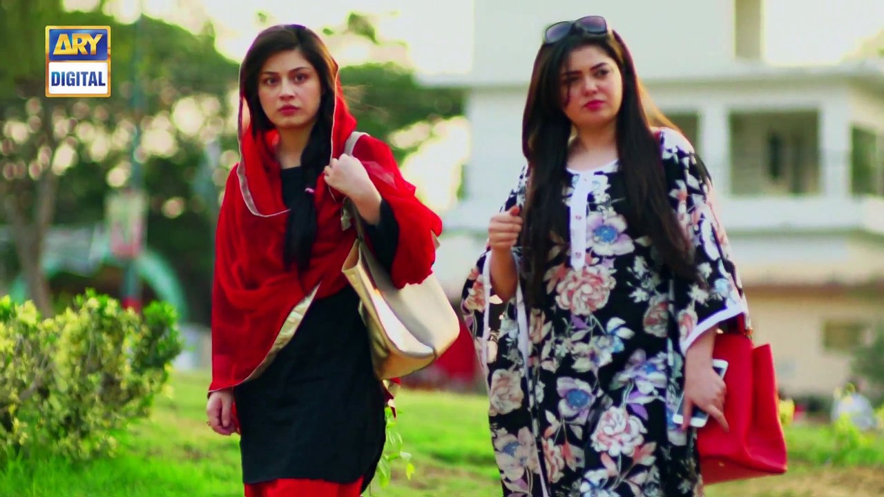 Watch Mein Mehru Hoon Episode 110 - on Ary Digital in High Quality 28th December 2016