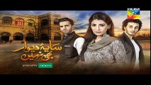 Saya e Dewar Bhi Nahi Episode 21 Promo HD HUM TV Drama 28 December 2016 - YouTube